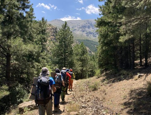Sierra Nevada