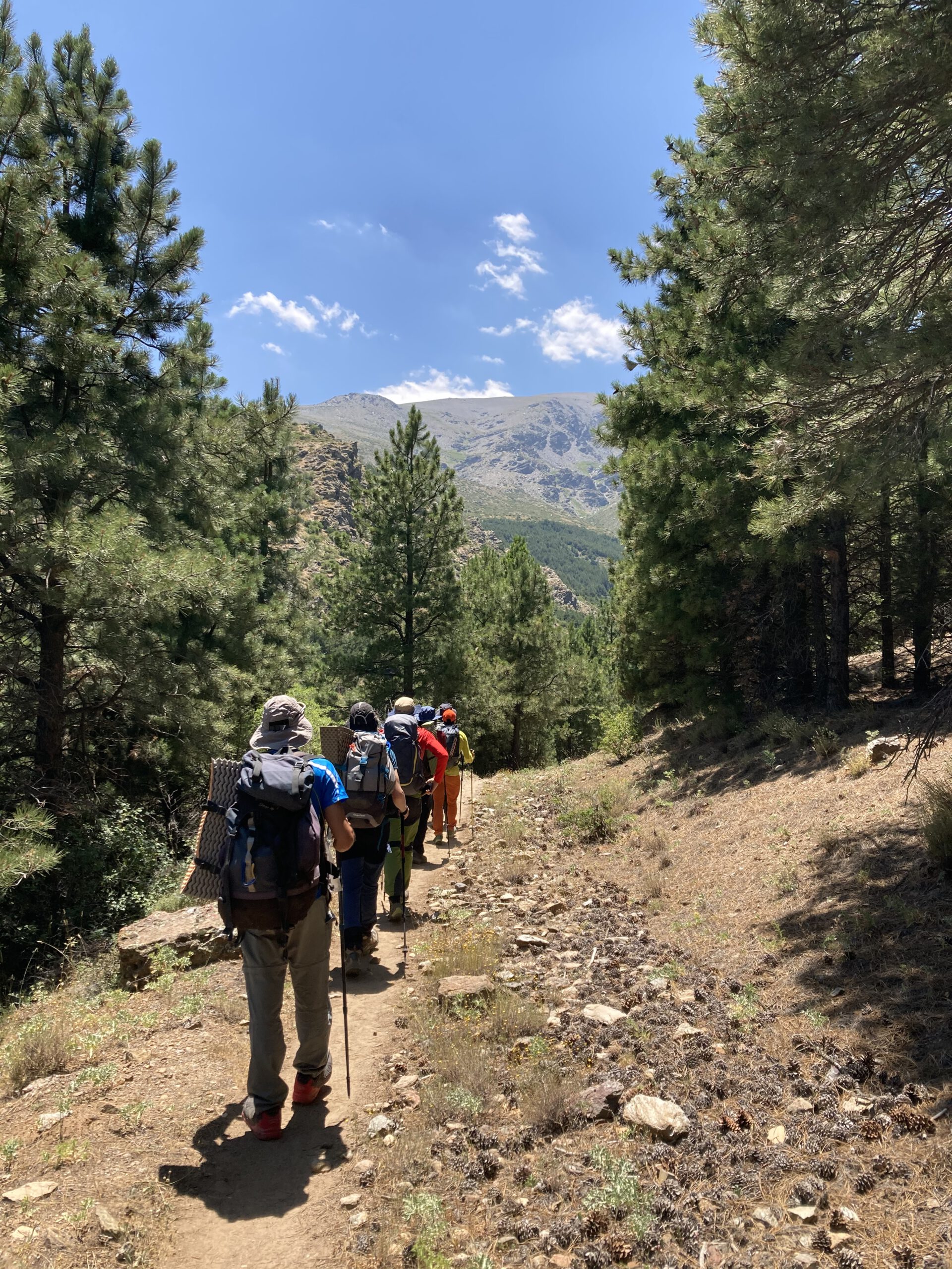 Sierra Nevada